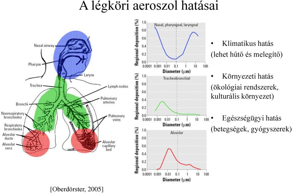 (ökológiai rendszerek, kulturális környezet)