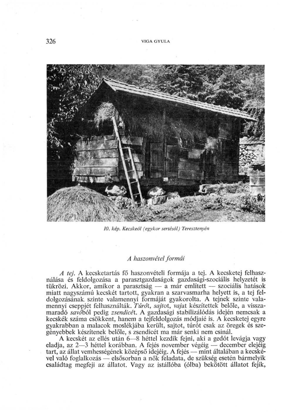 Akkor, amikor a parasztság a már említett szociális hatások miatt nagyszámú kecskét tartott, gyakran a szarvasmarha helyett is, a tej feldolgozásának szinte valamennyi formáját gyakorolta.