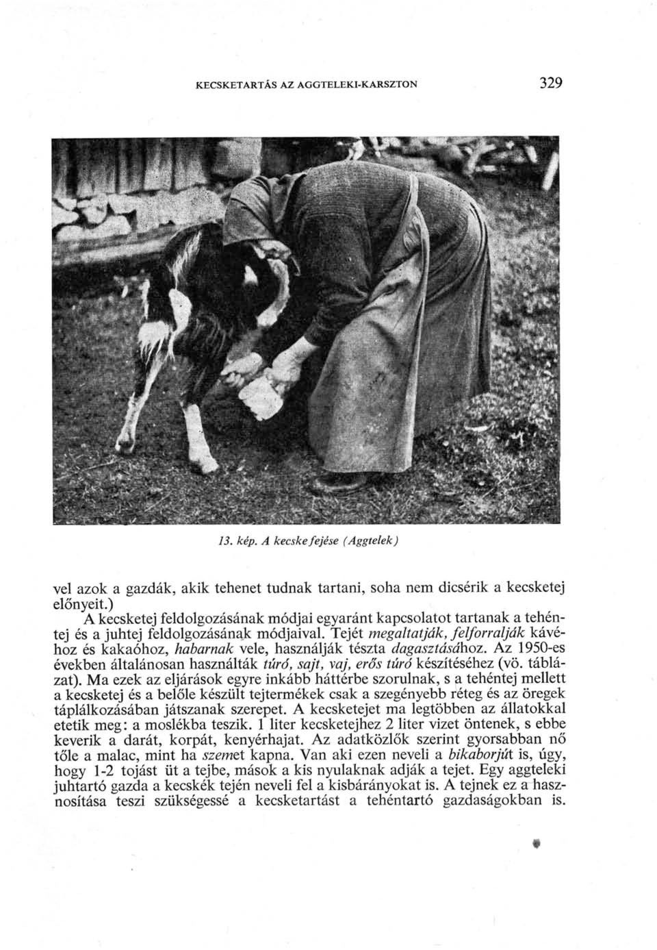 Tejét megaltatják, felforralják kávéhoz és kakaóhoz, habarnak vele, használják tészta dagasztásához. Az 1950-es években általánosan használták túró, sajt, vaj, erős túró készítéséhez (vö. táblázat).