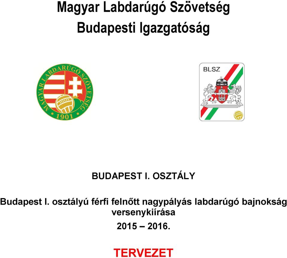 osztályú férfi felnőtt nagypályás