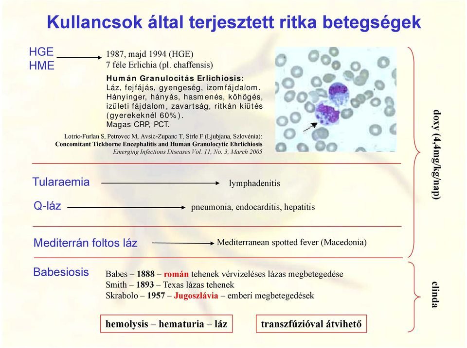 Lotric-Furlan S, Petrovec M, Avsic-Zupanc T, Strle F (Ljubjana, Szlovénia): Concomitant Tickborne Encephalitis and Human Granulocytic Ehrlichiosis Emerging Infectious Diseases Vol. 11, No.