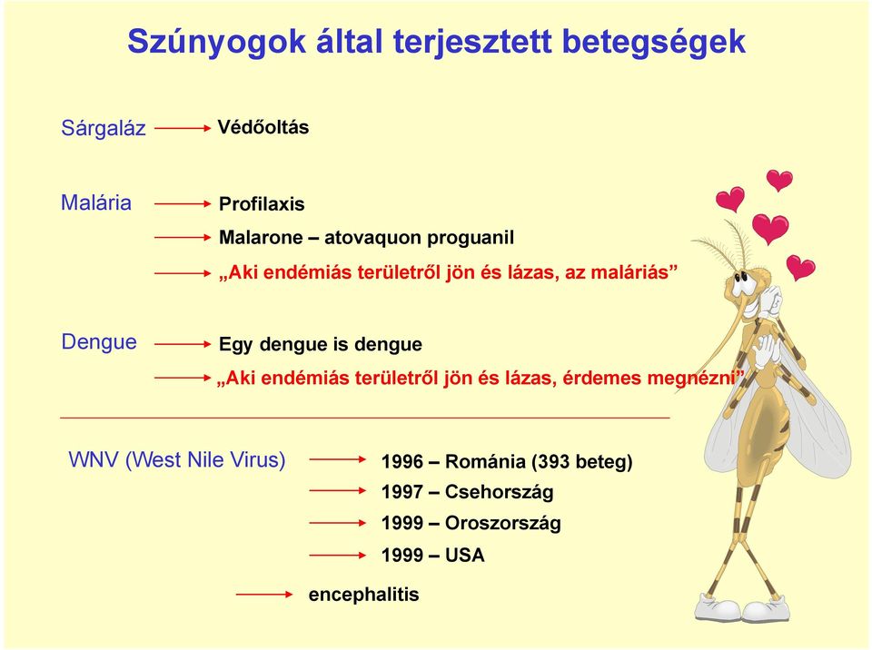 Dengue Egy dengue is dengue Aki endémiás területről jön és lázas, érdemes megnézni