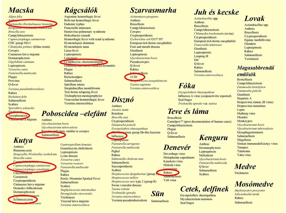 felis Salmonellosis Scabies Sporothrix schenckii Trichinosis Toxoplasmosis Visceral larva migrans Kutya Anthrax Blastomycosis Bergeyella (Weeksella) zoohelcum Brucella canis Campylobacteriosis