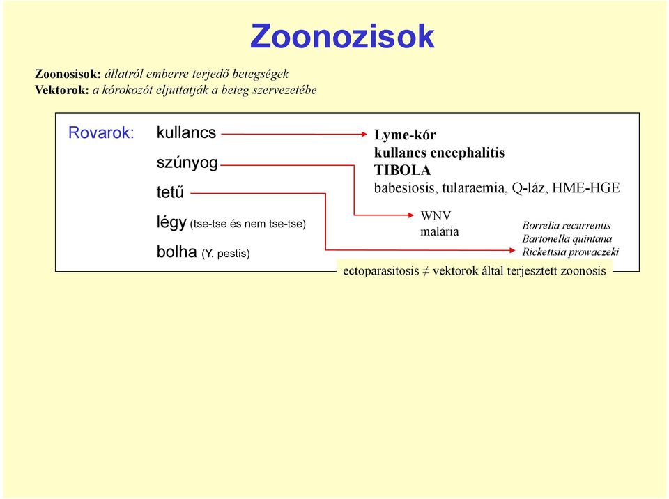 pestis) Lyme-kór kullancs encephalitis TIBOLA babesiosis, tularaemia, Q-láz, HME-HGEHGE WNV Borrelia