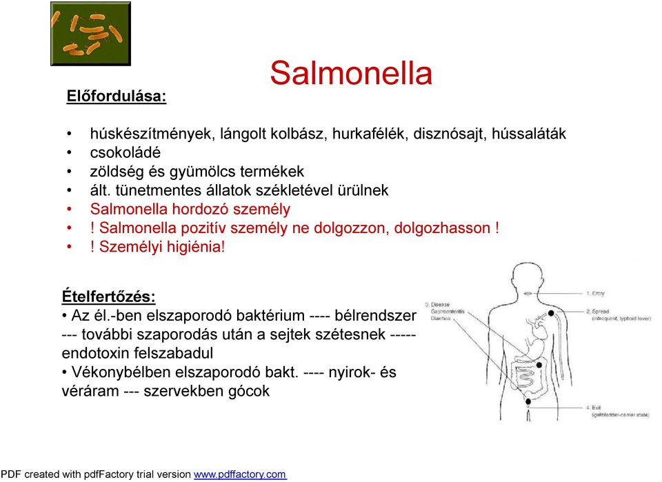 Salmonella pozitív személy ne dolgozzon, dolgozhasson!! Személyi higiénia! Ételfertőzés: Az él.