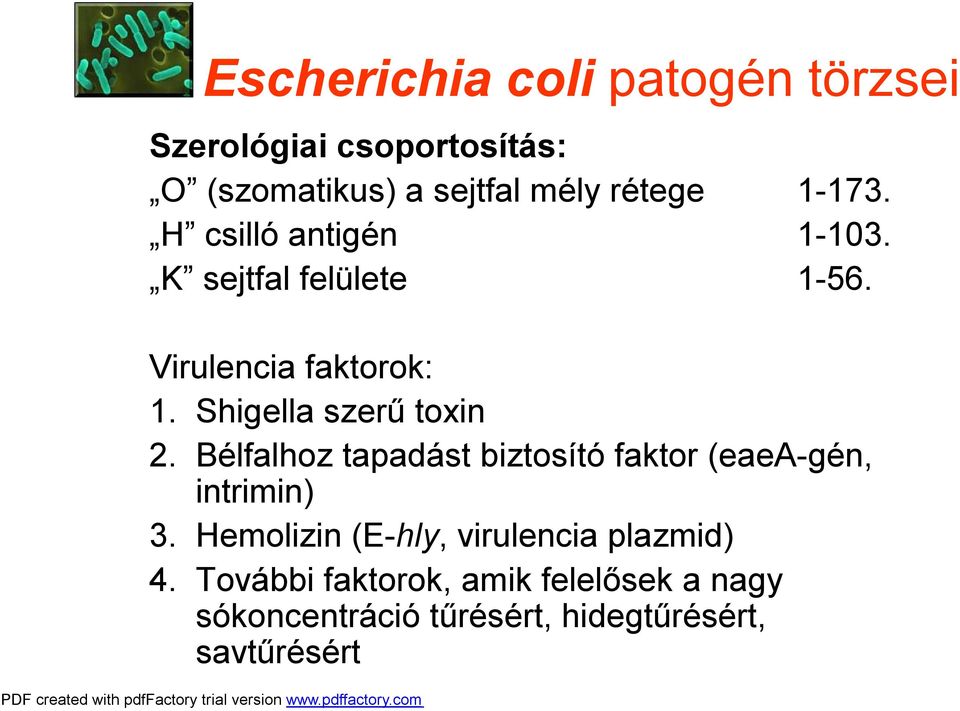 Shigella szerű toxin 2. Bélfalhoz tapadást biztosító faktor (eaea-gén, intrimin) 3.