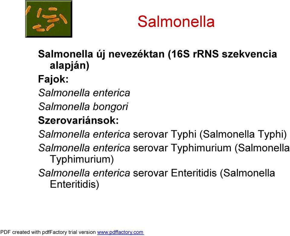 serovar Typhi (Salmonella Typhi) Salmonella enterica serovar Typhimurium