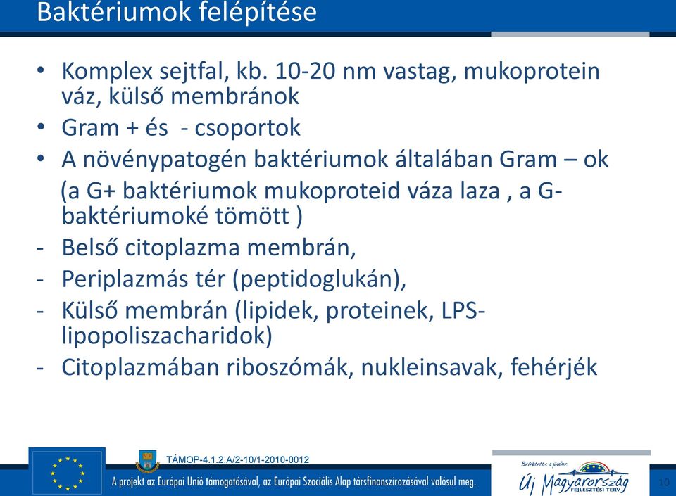 általában Gram ok (a G+ baktériumok mukoproteid váza laza, a G- baktériumoké tömött ) - Belső