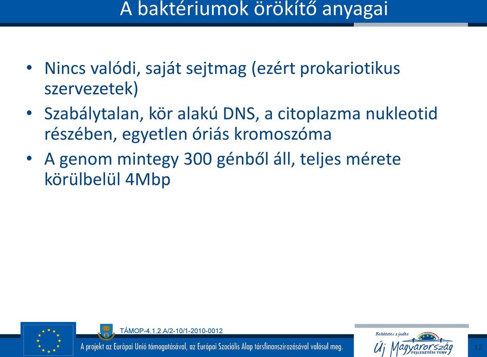 DNS, a citoplazma nukleotid részében, egyetlen óriás