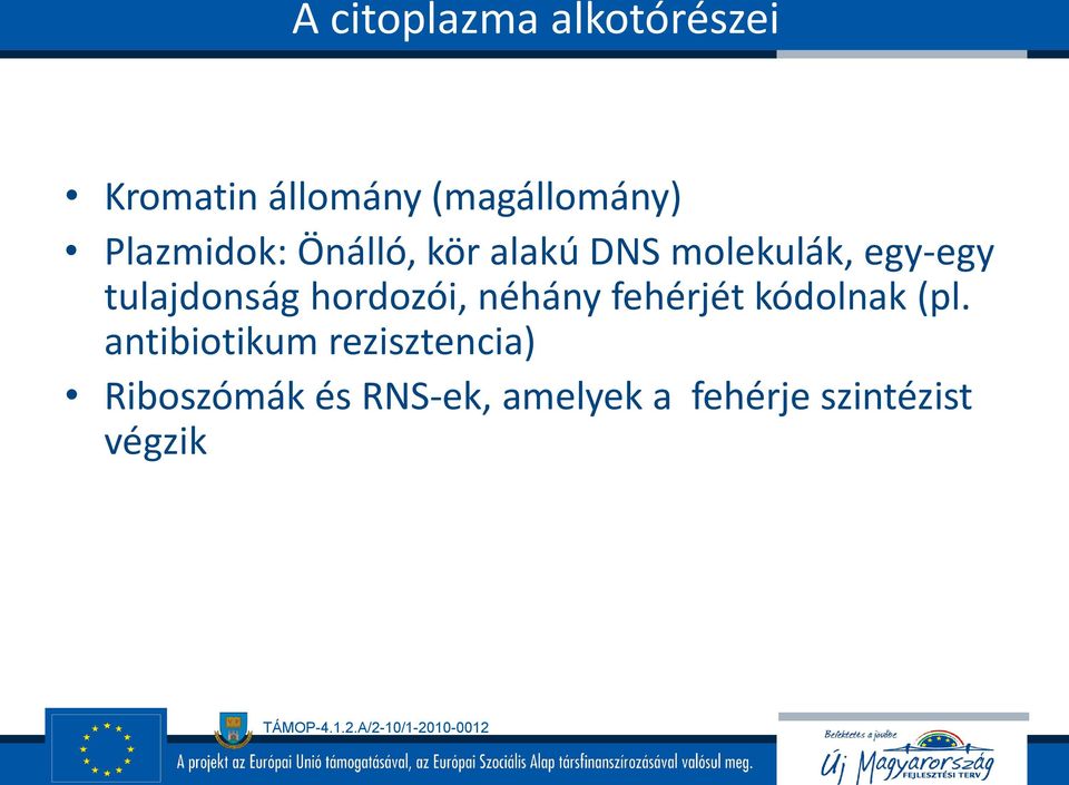 tulajdonság hordozói, néhány fehérjét kódolnak (pl.