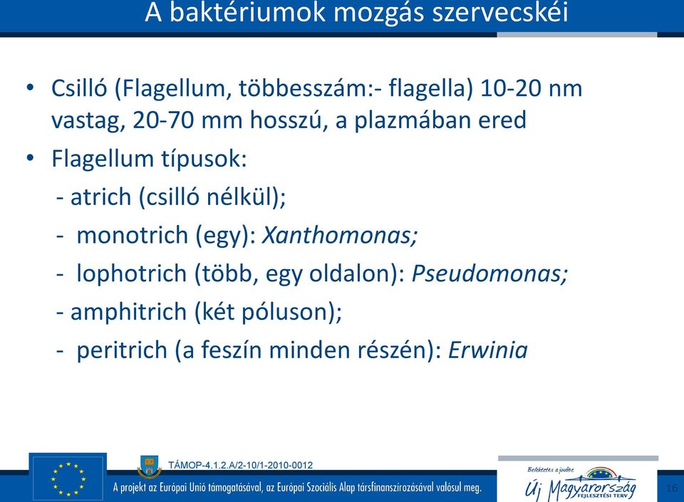 nélkül); - monotrich (egy): Xanthomonas; - lophotrich (több, egy oldalon):