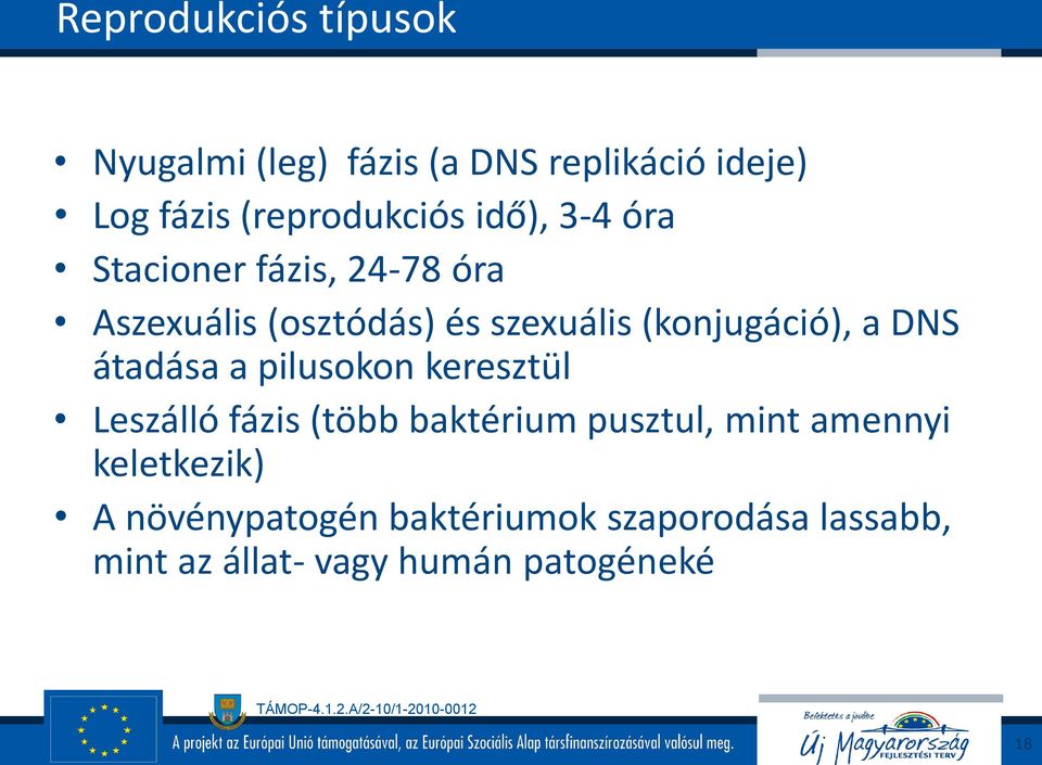 DNS átadása a pilusokon keresztül Leszálló fázis (több baktérium pusztul, mint amennyi