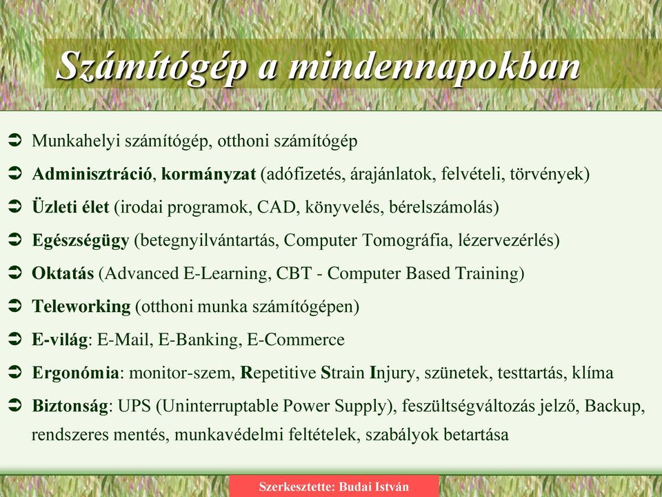 Computer Based Training) Teleworking (otthoni munka számítógépen) E-világ: E-Mail, E-Banking, E-Commerce Ergonómia: monitor-szem, Repetitive Strain Injury,