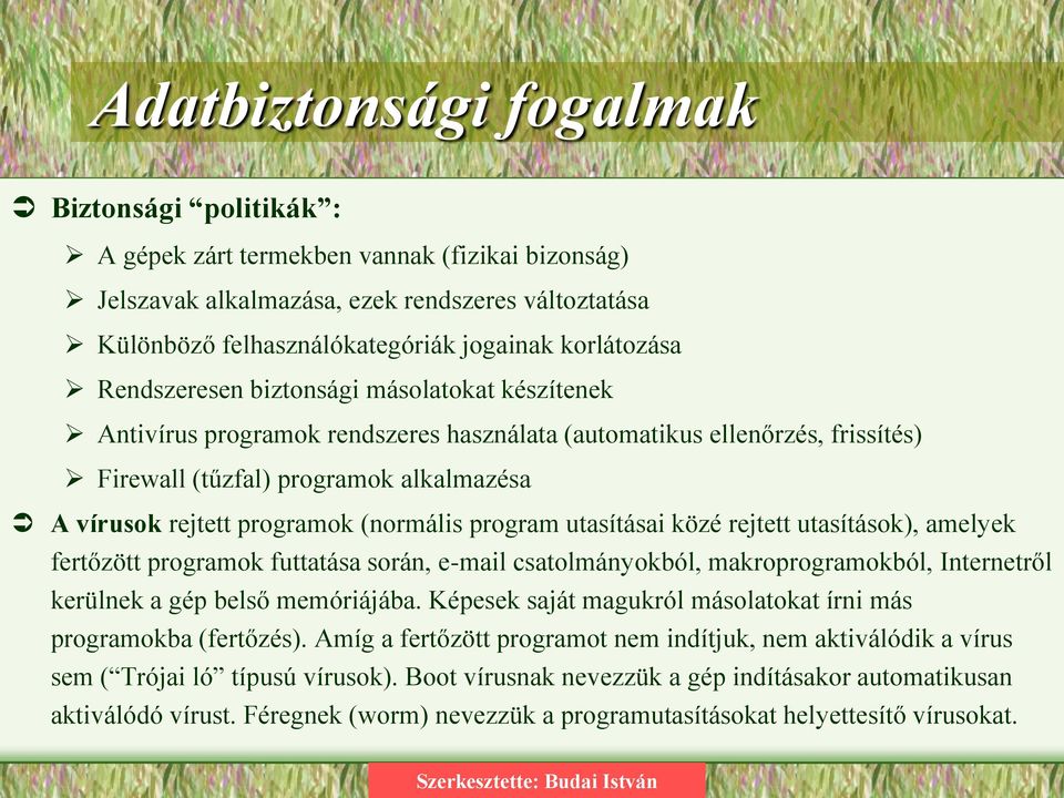 programok (normális program utasításai közé rejtett utasítások), amelyek fertőzött programok futtatása során, e-mail csatolmányokból, makroprogramokból, Internetről kerülnek a gép belső memóriájába.