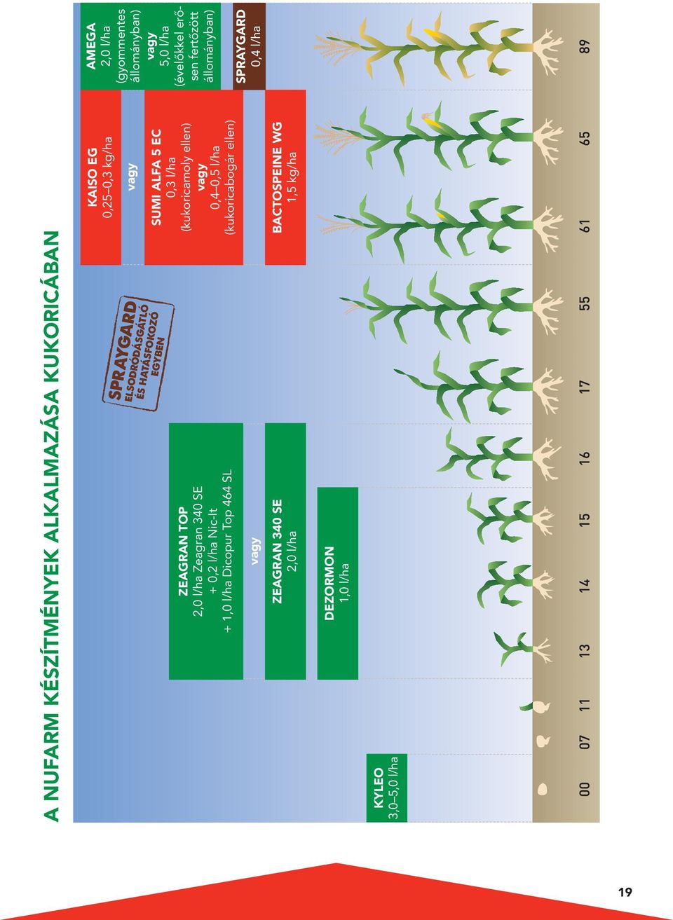 SUMI ALFA 5 EC 0,3 l/ha (kukoricamoly ellen) vagy 0,4 0,5 l/ha (kukoricabogár ellen) BACTOSPEINE WG 1,5 kg/ha