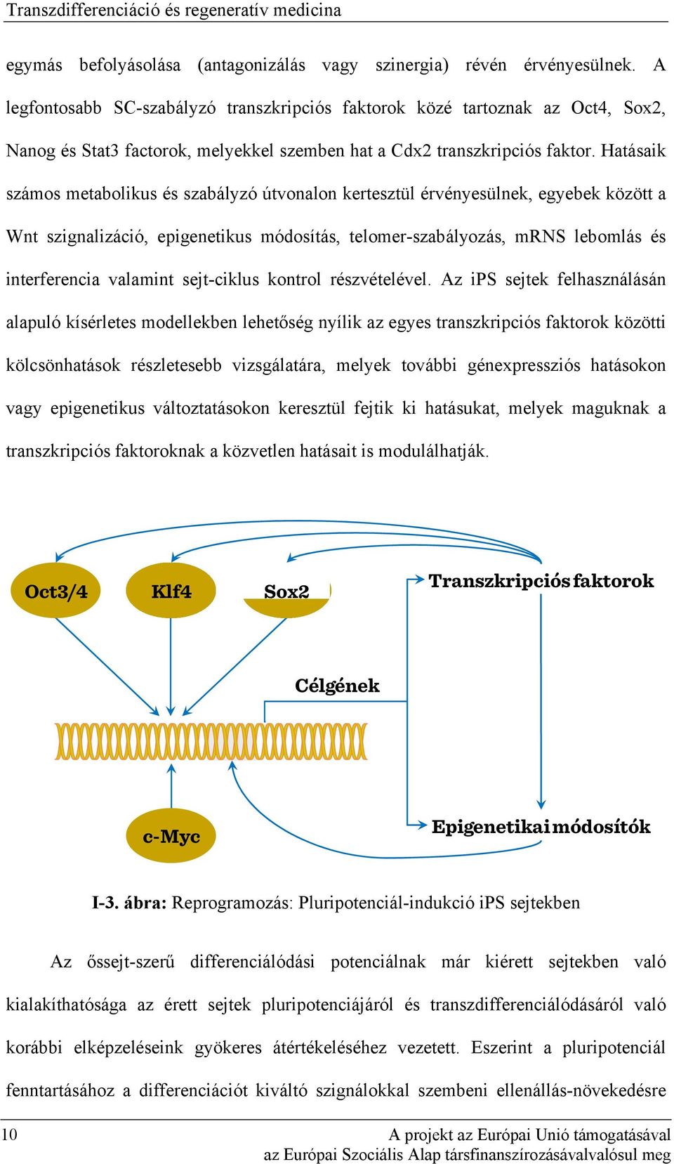 Hatásaik számos metabolikus és szabályzó útvonalon kertesztül érvényesülnek, egyebek között a Wnt szignalizáció, epigenetikus módosítás, telomer-szabályozás, mrns lebomlás és interferencia valamint