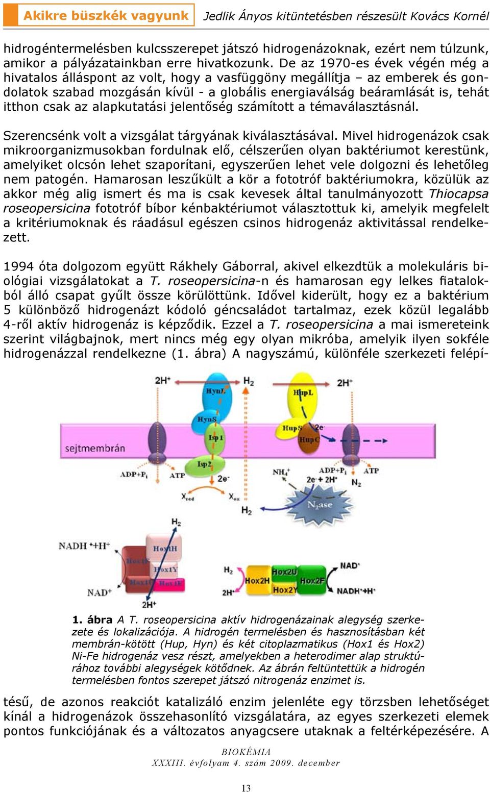 alapkutatási jelentőség számított a témaválasztásnál. Szerencsénk volt a vizsgálat tárgyának kiválasztásával.