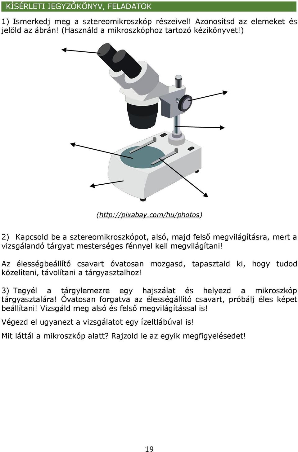 Az élességbeállító csavart óvatosan mozgasd, tapasztald ki, hogy tudod közelíteni, távolítani a tárgyasztalhoz! 3) Tegyél a tárgylemezre egy hajszálat és helyezd a mikroszkóp tárgyasztalára!