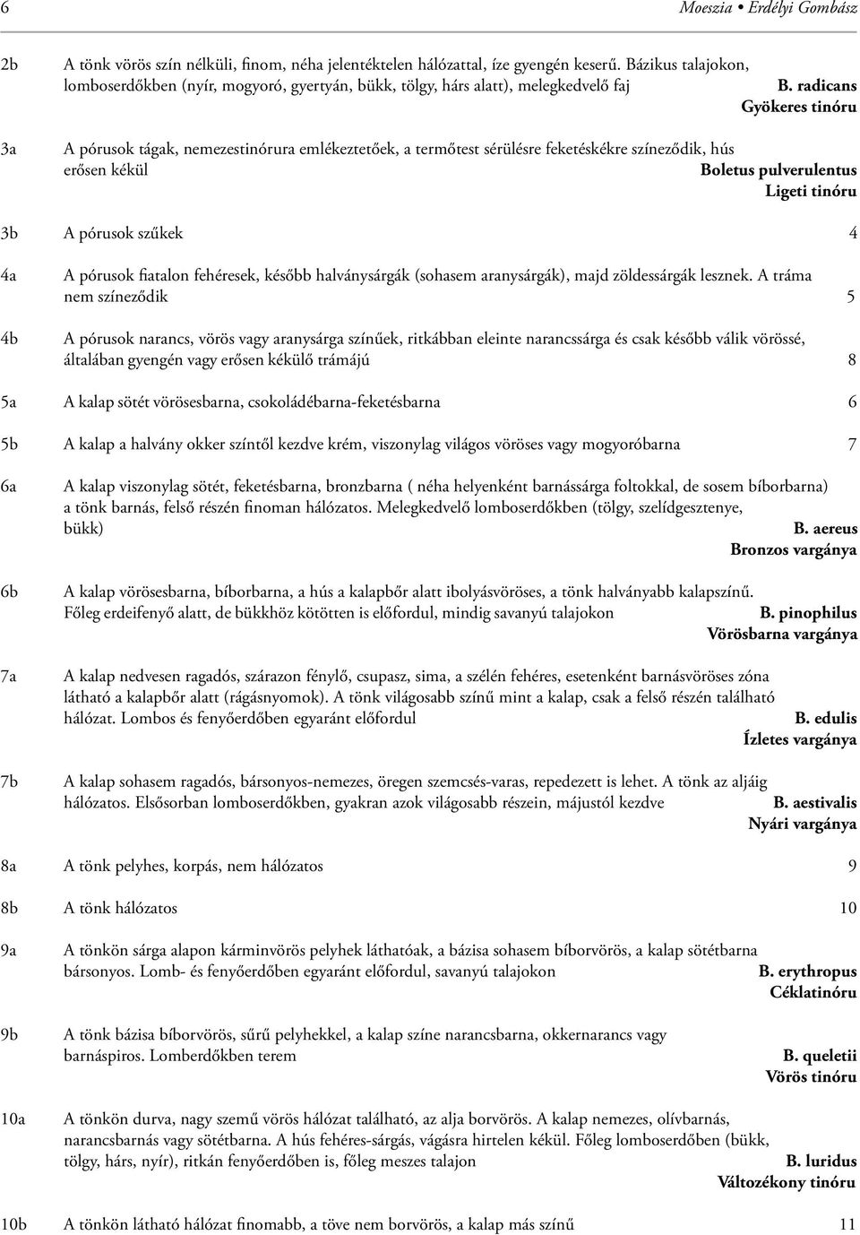 radicans Gyökeres tinóru A pórusok tágak, nemezestinórura emlékeztetőek, a termőtest sérülésre feketéskékre színeződik, hús erősen kékül Boletus pulverulentus Ligeti tinóru 3b A pórusok szűkek 4 4a