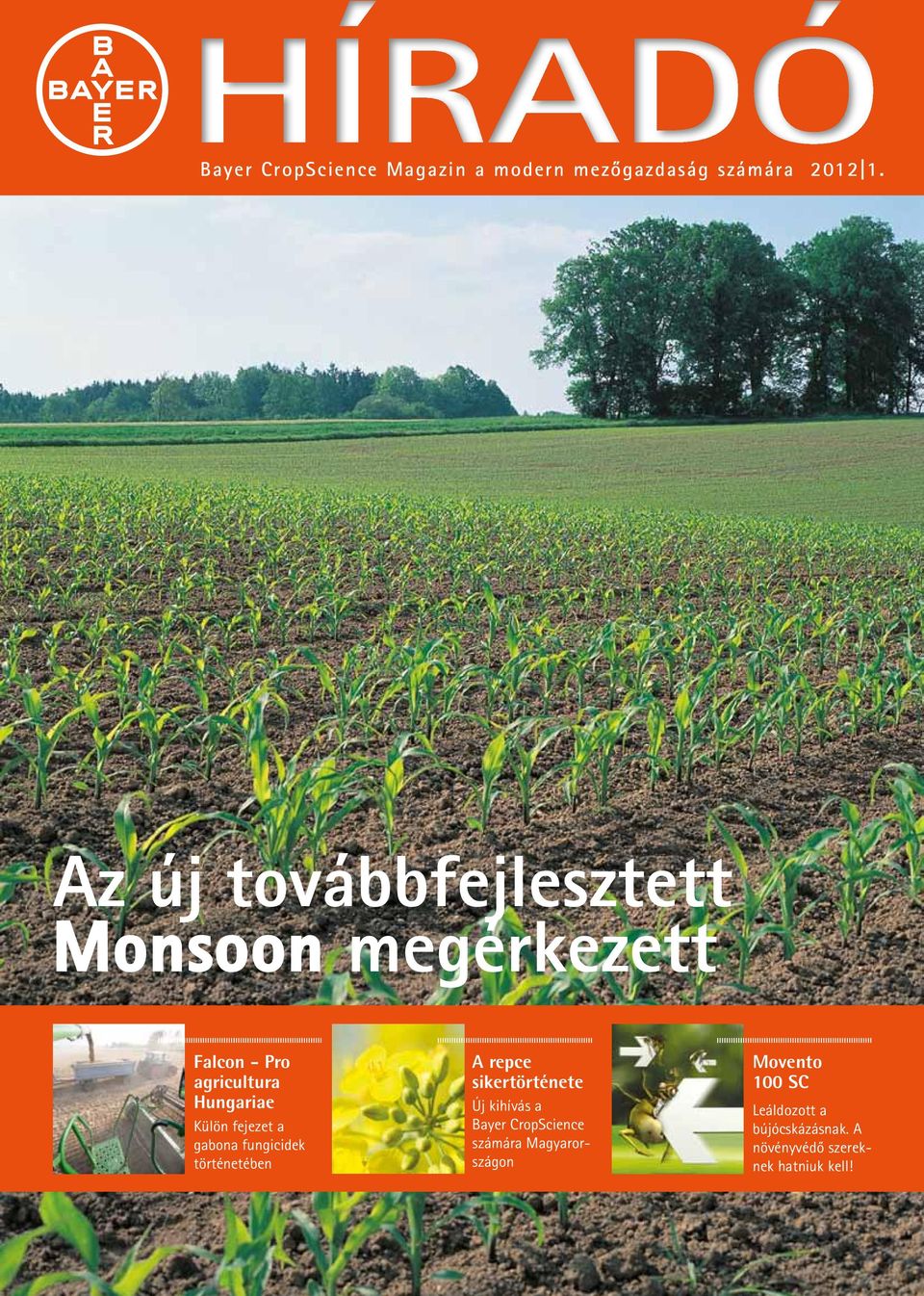fejezet a gabona fungicidek történetében A repce sikertörténete Új kihívás a Bayer