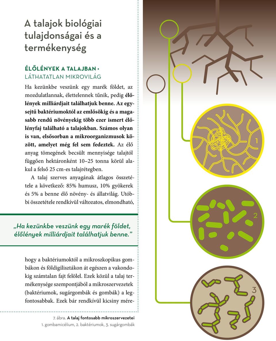 Számos olyan is van, elsősorban a mikroorganizmusok között, amelyet még fel sem fedeztek.