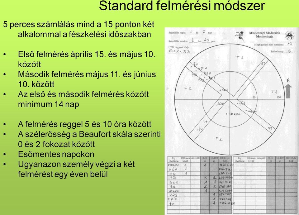 között Az első és második felmérés között minimum 14 nap A felmérés reggel 5 és 10 óra között A