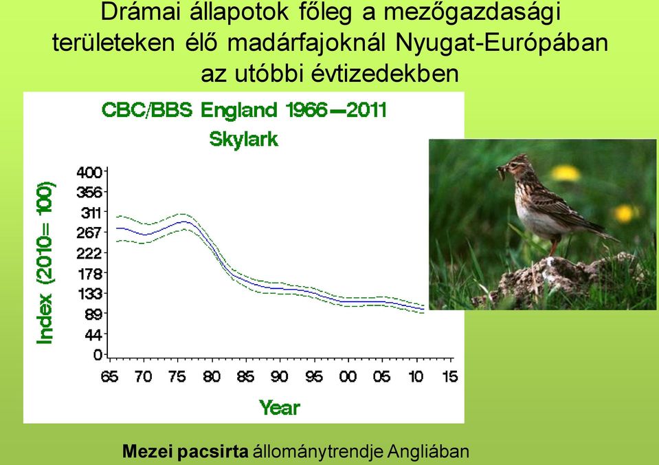 madárfajoknál Nyugat-Európában az