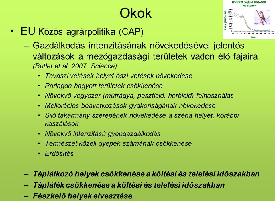beavatkozások gyakoriságának növekedése Siló takarmány szerepének növekedése a széna helyet, korábbi kaszálások Növekvő intenzitású gyepgazdálkodás Természet közeli
