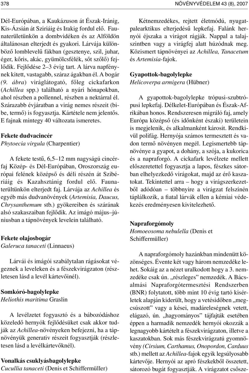 Fejlôdése 2 3 évig tart. A lárva napfénynek kitett, vastagabb, száraz ágakban él. A bogár (9. ábra) viráglátogató, fôleg cickafarkon (Achillea spp.