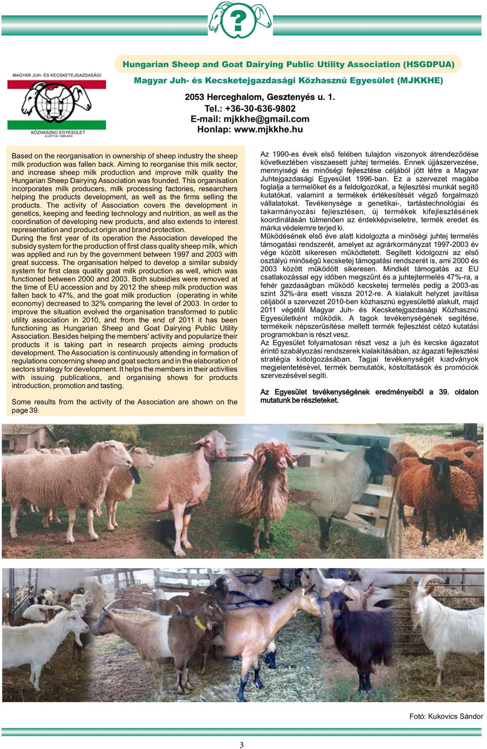 Aiming to reorganise this milk sector, and increase sheep milk production and improve milk quality the Hungarian Sheep Dairying Association was founded.