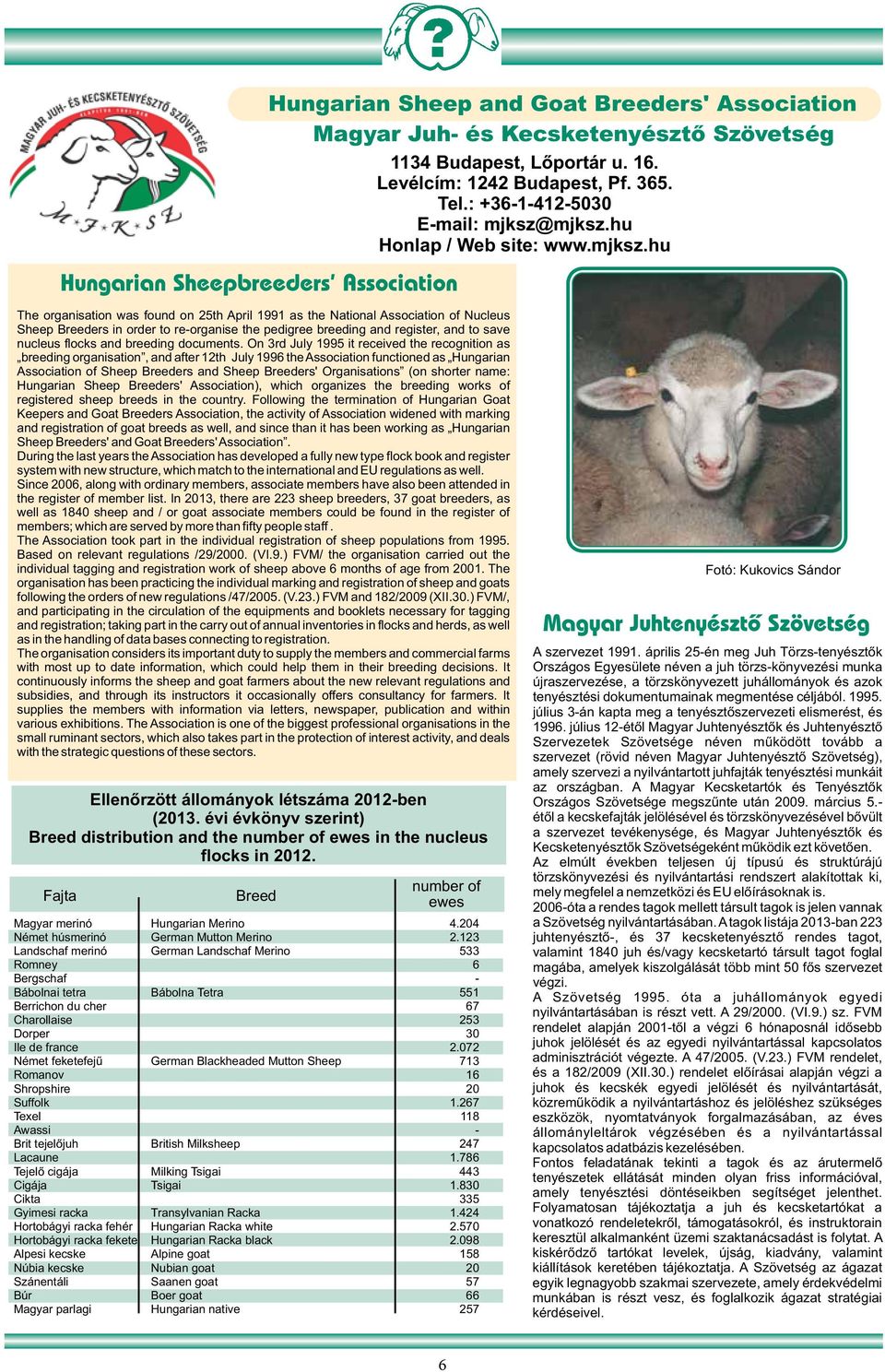 hu The organisation was found on 25th April 1991 as the National Association of Nucleus Sheep Breeders in order to re-organise the pedigree breeding and register, and to save nucleus flocks and