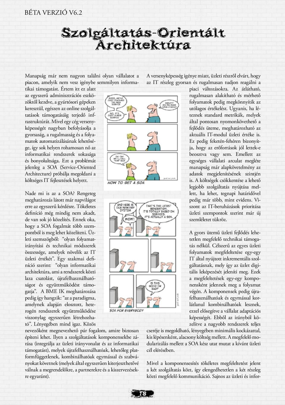 Mivel egy cég versenyképességét nagyban befolyásolja a gyorsaság, a rugalmasság és a folyamatok automatizálásának lehetősége, így sok helyen rohamosan nő az informatikai rendszerek sokasága és