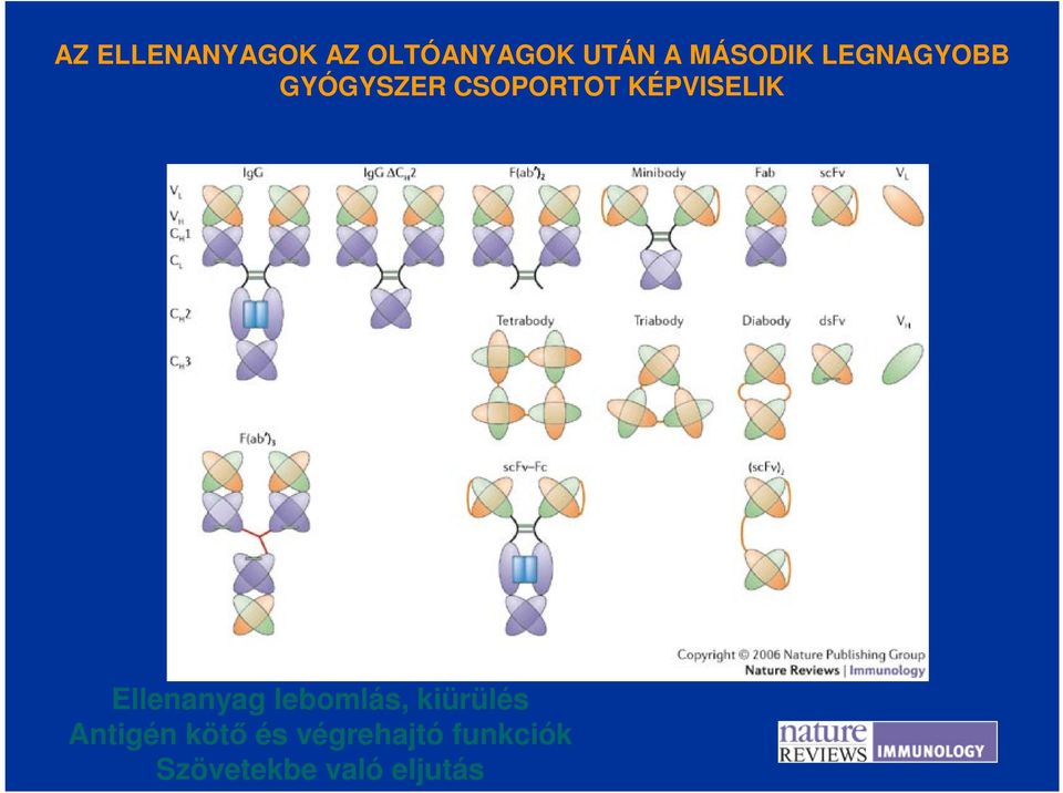 Immunology 6, 343 357 (May 2006) doi:10.