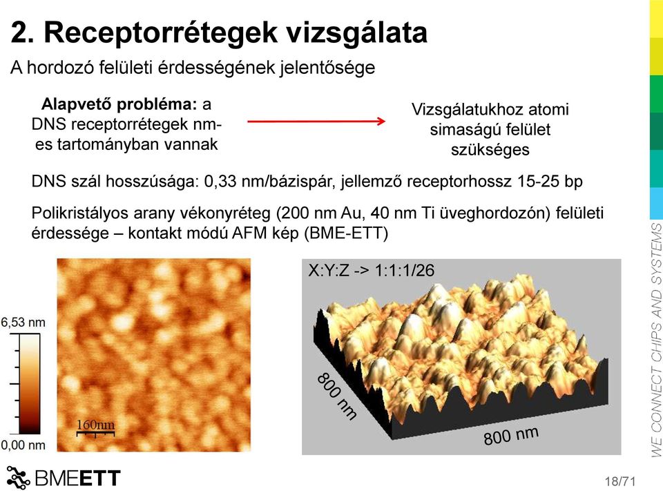 hosszúsága: 0,33 nm/bázispár, jellemző receptorhossz 15-25 bp Polikristályos arany vékonyréteg (200