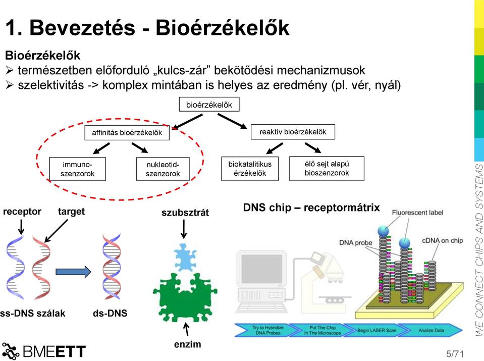 vér, nyál) bioérzékelők affinitás bioérzékelők reaktív bioérzékelők nukleotidszenzorok