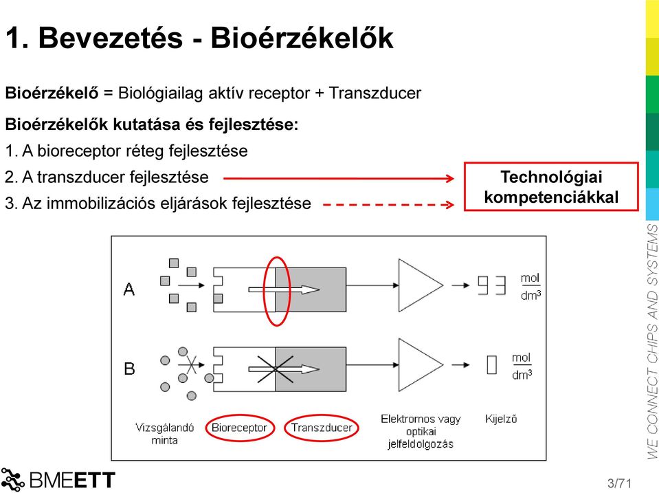 A bioreceptor réteg fejlesztése 2. A transzducer fejlesztése 3.