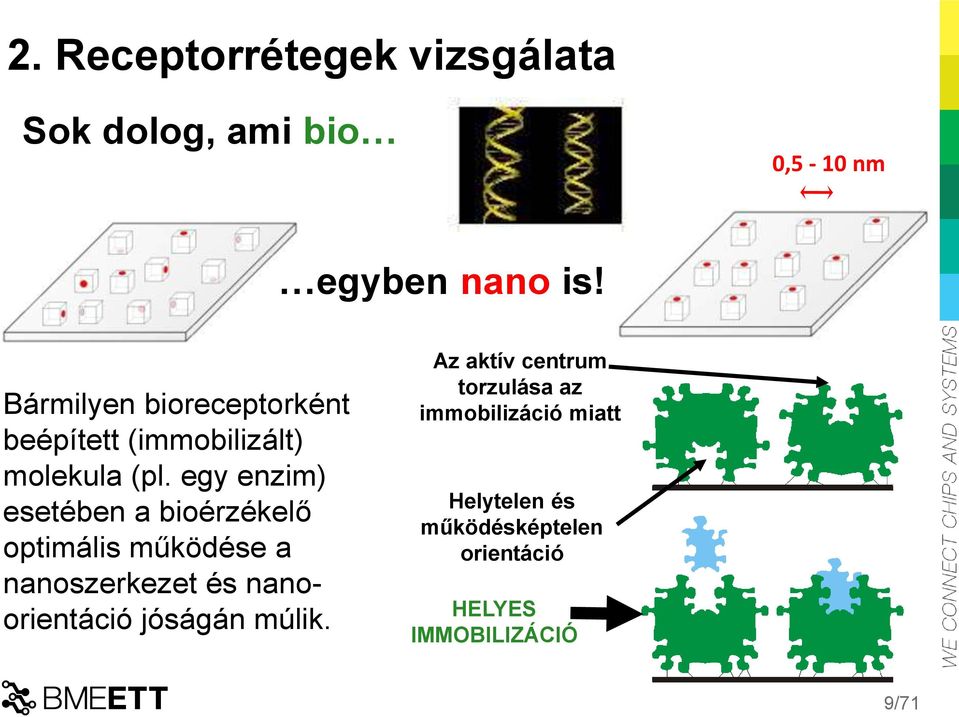 egy enzim) esetében a bioérzékelő optimális működése a nanoszerkezet és nanoorientáció