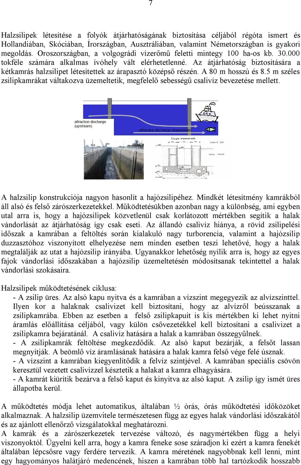 Az átjárhatóság biztosítására a kétkamrás halzsilipet létesítettek az árapasztó középső részén. A 80 m hosszú és 8.