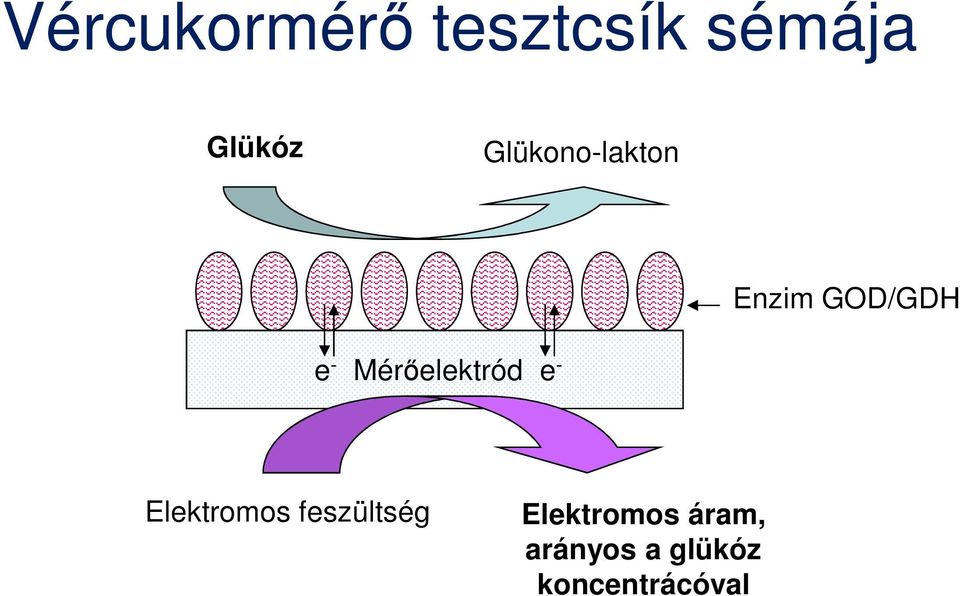 Mérőelektród e - Elektromos feszültség