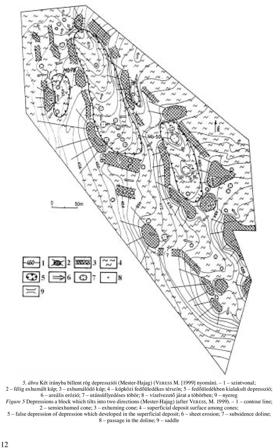 töbör; 8 vízelvezető járat a töbörben; 9 nyereg Figure 5 Depressions a block which tilts into two directions (Mester-Hajag) (after VERESS, M. 1999).