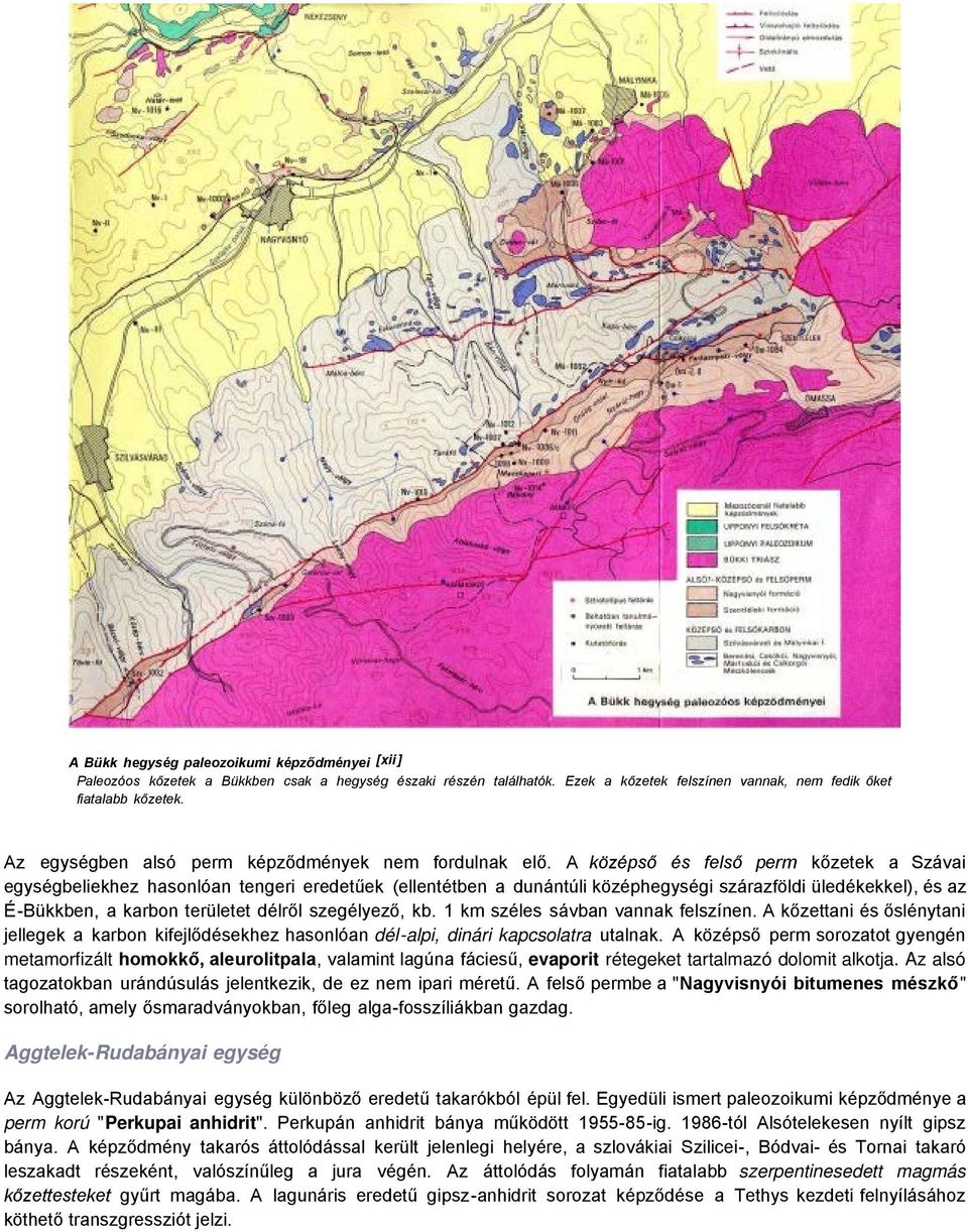 A középső és felső perm kőzetek a Szávai egységbeliekhez hasonlóan tengeri eredetűek (ellentétben a dunántúli középhegységi szárazföldi üledékekkel), és az É-Bükkben, a karbon területet délről