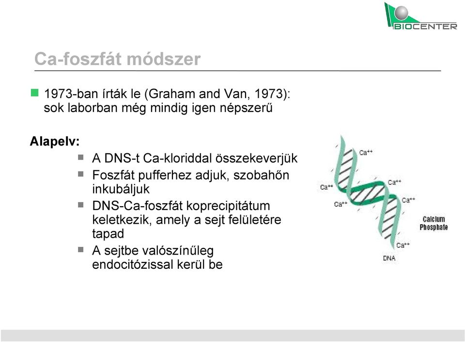 pufferhez adjuk, szobahőn inkubáljuk DNS-Ca-foszfát koprecipitátum