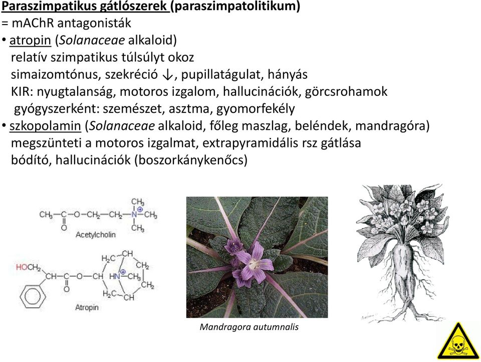 görcsrohamok gyógyszerként: szemészet, asztma, gyomorfekély szkopolamin (Solanaceae alkaloid, főleg maszlag, beléndek,