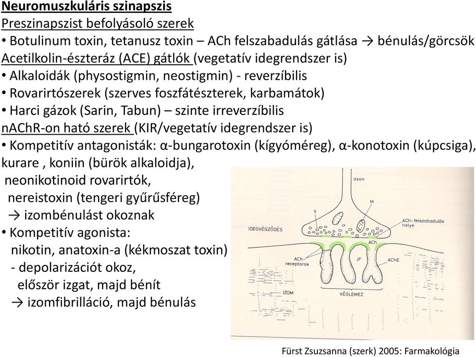 idegrendszer is) Kompetitív antagonisták: α-bungarotoxin (kígyóméreg), α-konotoxin (kúpcsiga), kurare, koniin (bürök alkaloidja), neonikotinoid rovarirtók, nereistoxin (tengeri gyűrűsféreg)