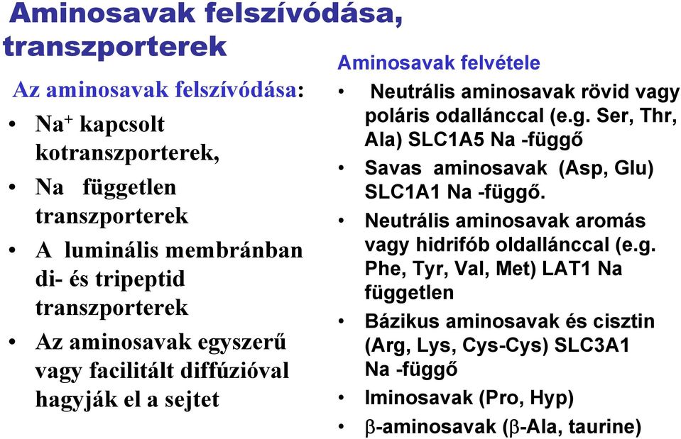 poláris odallánccal (e.g. Ser, Thr, Ala) SLC1A5 Na -függő Savas aminosavak (Asp, Glu) SLC1A1 Na -függő.