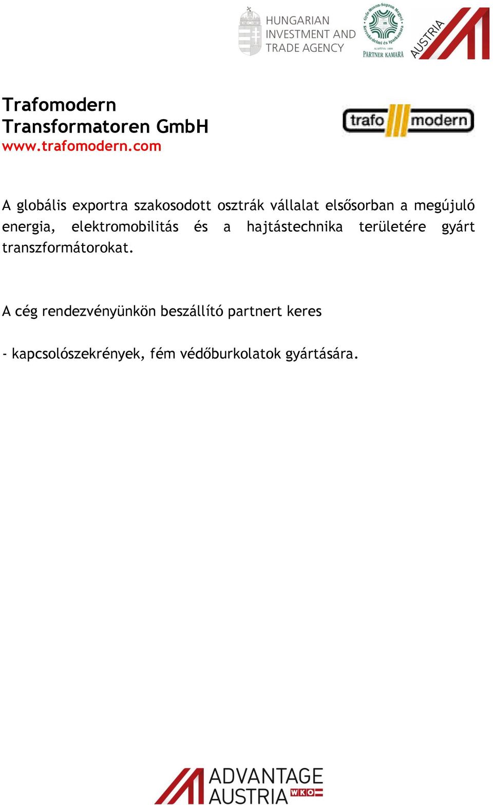 energia, elektromobilitás és a hajtástechnika területére gyárt