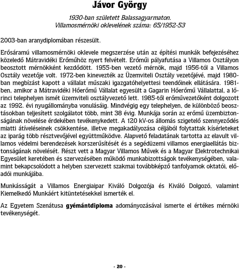 Erőműi pályafutása a Villamos Osztályon beosztott mérnökként kezdődött. 1955-ben vezető mérnök, majd 1956-tól a Villamos Osztály vezetője volt.