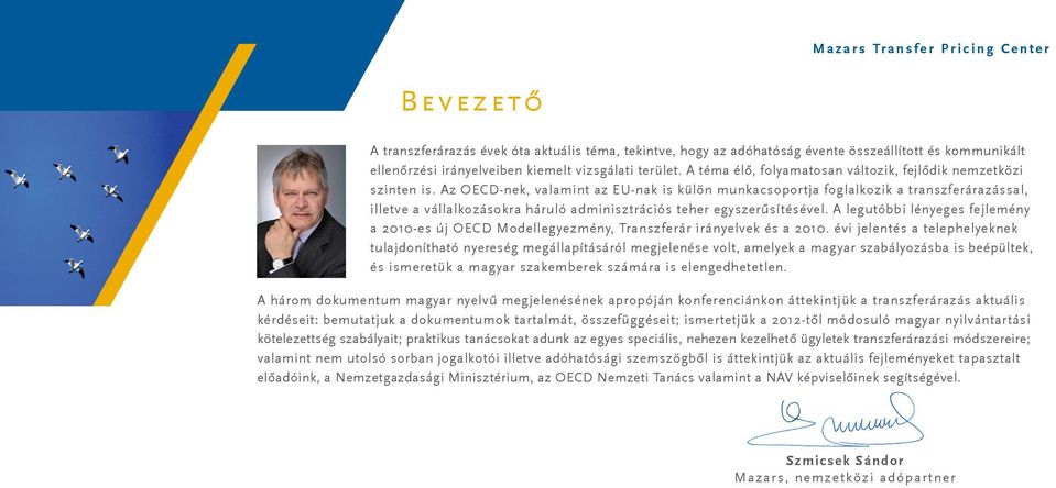 Az OECD-nek, valamint az EU-nak is külön munkacsoportja foglalkozik a transzferárazással, illetve a vállalkozásokra háruló adminisztrációs teher egyszerűsítésével.