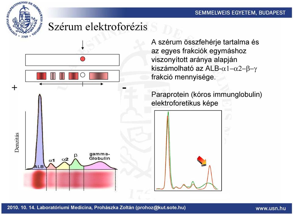 alapján kiszámolható az ALB-α1 α2 β γ frakció mennyisége.