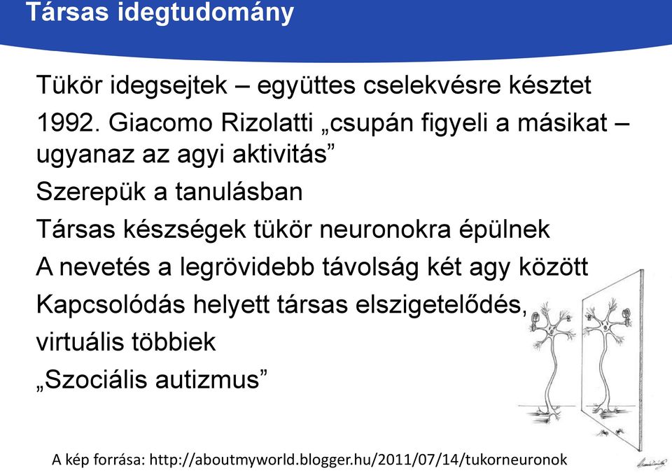 készségek tükör neuronokra épülnek A nevetés a legrövidebb távolság két agy között Kapcsolódás